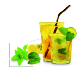 Herbal & Teas Mojito Iced